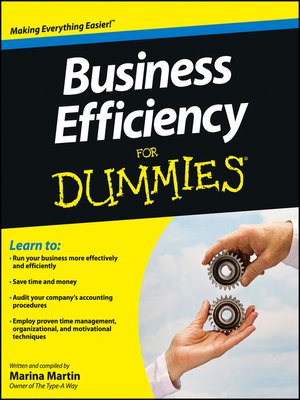 cover image of Business Efficiency For Dummies